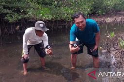 IPB University tebar kepiting bakau di Pantai Senggalong Anambas