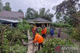 Sebanyak 82 rumah warga di Bondowoso diterjang angin kencang