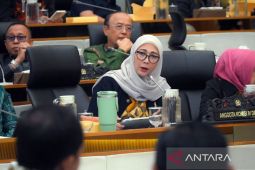 Melati soroti akurasi data deforestasi dan lemahnya pengawasan hutan