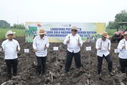 SGN percepat swasembada gula lewat bongkar ratoon di Jombang