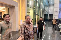Airlangga: Regulasi soal restrukturisasi Danantara sedang disesuaikan