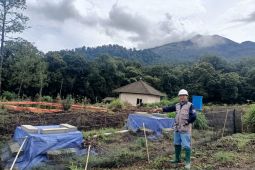 Pakar Mitigasi UB: Penebangan hutan harus dievaluasi