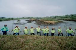 YEAH Foundation inisiasi rehabilitasi mangrove seluas 22 HA di DAS Sungai Belawan