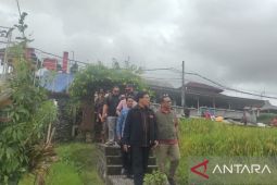 DPRD Bali menegaskan penutupan restoran berbeton Jatiluwih demi penataan