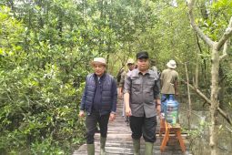 Antara Jambi Tanam Mangrove