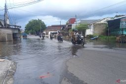 Banjir rob rendam rumah warga Kampung Opas Pangkalpinang