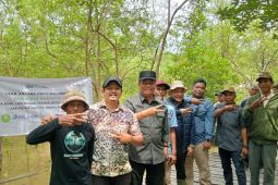 Pemkab Tanjung Jabung Barat terus benahi jalan ke area ekowisata mangrove