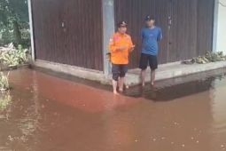 BPBD Tanjab Timur: Banjir rob rendam jalan dan halaman rumah warga