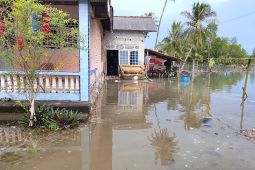 BPBD Bangka mencatat ratusan rumah warga terdampak banjir rob