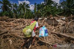 Bareskrim Polri selidiki dugaan penebangan liar di Sungai Tamiang