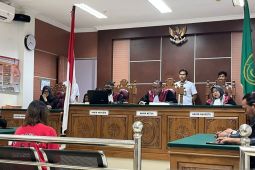 Majikan aniaya PRT di Batam divonis pidana 10 tahun penjara