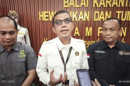 Lampung ekspor udang ke AS 28 kali pada November-Desember 2025