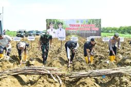 Pemkab Lamongan catat produksi tebu capai 230 ribu ton