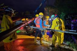 PLN tuntaskan pemulihan kelistrikan 100 persen, Sumut kembali menyala