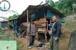 BKSDA Bengkulu telusuri kemunculan harimau sumatra di Kabupaten Lebong