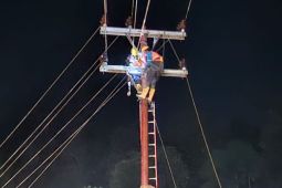 PLN berhasil pulihkan sistem kelistrikan Aceh 93 persen