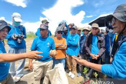 Peningkatan Kapasitas Mangrove Perkuat Ekosistem dan Pendapatan Warga