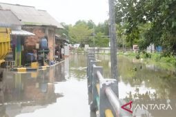 Babel bantu 1.000 warga korban banjir rob