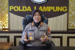 Polda Lampung dan Kemenhut berkoordinasi terkait temuan kayu di Pesibar