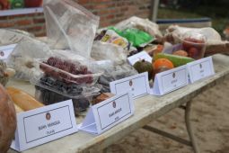 Karantina Sumut musnahkan 222 kilogram komoditas ilegal