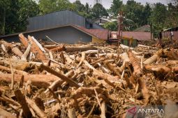 Kemenhut izinkan kayu hanyut saat banjir ddimanfaatkan untuk pemulihan banjir Sumatera