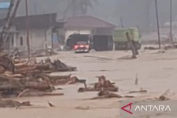 Sungai Aek Garoga Batang Toru kembali meluap