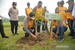 Pemprov Gorontalo hijaukan kembali akses jalan GORR