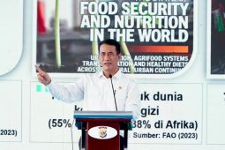 Mentan sebut 2027 Papua bisa mandiri pangan