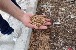 Masyarakat Mataram diedukasi pilah sampah dari rumah