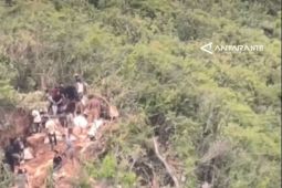 Mengejar kilau emas di tanah rawan Bukit Dundang