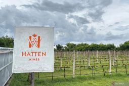 Berkunjung ke kebun Anggur ala Eropa di Bali