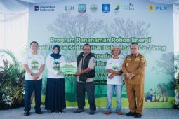 Dukung energi bersih, PLN UIW Babel tanam 10.000 bibit pohon kaliandra melalui program TJSL di Belitung Timur