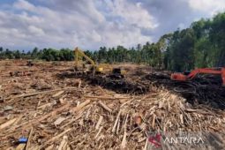 21 alat berat BWS Sumatera I dikerahkan untuk pemulihan sungai di Aceh