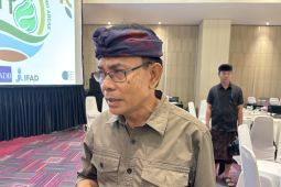 Distan Bali: Musim hujan mulai pengaruhi harga cabai dan bawang