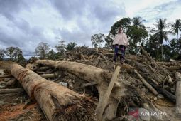 Bencana alam melanda: akibat cuaca atau ulah manusia?