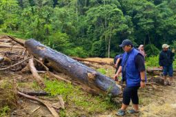 Pemulihan ekonomi warga terdampak bencana perlu dilakukan
