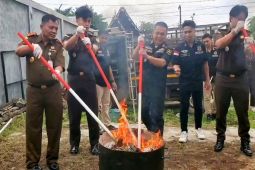 Kejari Kotim musnahkan barang bukti dari 245 perkara