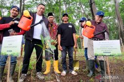 Situbondo dan Fakultas Kehutanan IPB kolaborasi kendalikan deforestasi