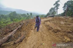 Banjir Sumatera, kebun sawit, dan ambisi biofuel