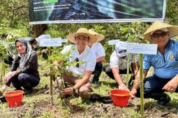 Area Bandara Lombok ditanami ribuan bibit pohon