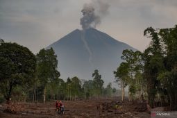 Penurunan status aktivitas Gunung Semeru