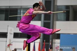 Wushu Indonesia Airlangga Hartarto  pantau situasi untuk Asian Games 2026