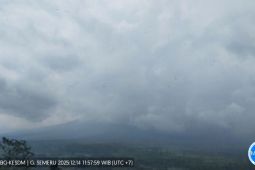 Aktivitas Semeru masih didominasi gempa letusan