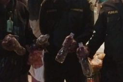 BKSDA Maluku mengamankan 9 ekor satwa disembunyikan dalam botol