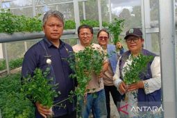 Wabup Deni : Modernisasi pertanian berbasis IoT permudah kerja tani