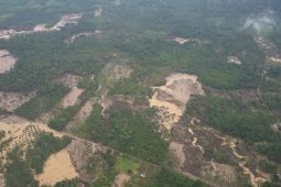 Govt reviews Aceh watershed damage, finds illegal activity