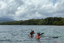 Simak kegiatan-kegiatan yang bisa dilakukan saat vakansi di Pulau Menjangan