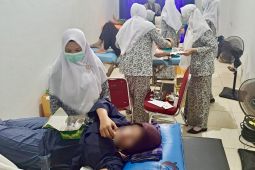 DP3AP2KB : KB implan jadi pilihan MKJP terpopuler di Batam