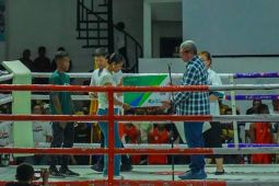 Kejuaraan tinju piala Bupati Cup III meriahkan HUT ke-73 Kabupaten Malra