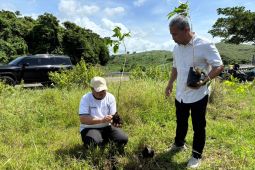 Pemkab gandeng dunia usaha tanam ribuan pohon di JLS Blitar